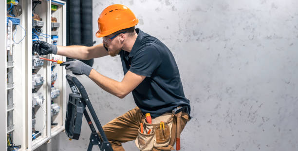 Best Electric Panel Repair  in Cold Spring, MN