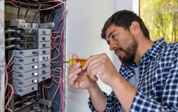 Best 24-Hour Electrician  in Cold Spring, MN